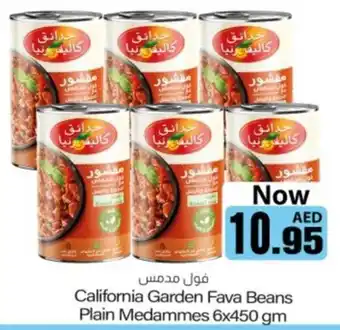 Sajidha Supermarket California Garden Fava Beans Plain Medammes offer