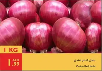 Istanbul Supermarket Onion Red India offer