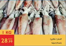 Istanbul Supermarket Sqiud (Fresh) offer