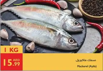 Istanbul Supermarket Mackerel (Ayila) offer