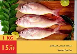 Istanbul Supermarket Sulthan Flat Fish offer