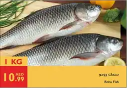 Istanbul Supermarket Rohu Fish offer