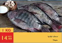 Istanbul Supermarket Tilapia offer