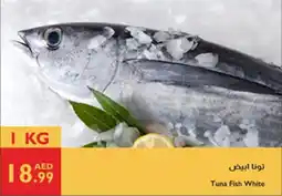 Istanbul Supermarket Tuna Fish White offer