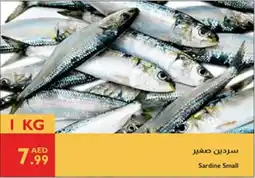 Istanbul Supermarket Sardine Small offer