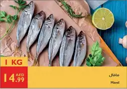 Istanbul Supermarket Mavel offer