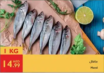 Istanbul Supermarket Mavel offer
