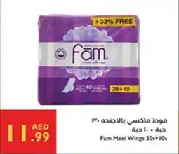 Istanbul Supermarket Fam Maxi Wings offer
