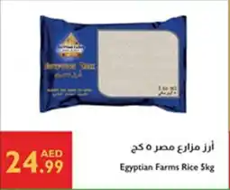 Istanbul Supermarket Egyptian Farms Rice offer