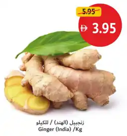Union Coop Ginger offer