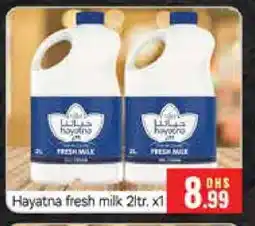 Al Madina HAYATNA Fresh Milk offer