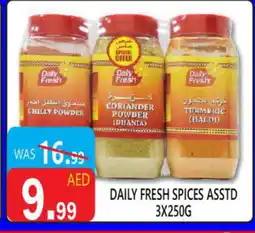 United Hypermarket DAILY FRESH Spices / Masala offer