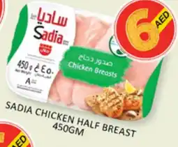 Al Madina SADIA Chicken Breast offer