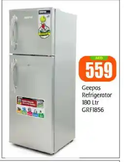 Bigmart GEEPAS Refrigerator offer