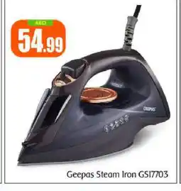 Bigmart GEEPAS Ironbox offer
