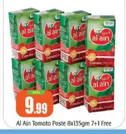 Bigmart AL AIN Tomato Paste offer