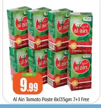 Bigmart AL AIN Tomato Paste offer