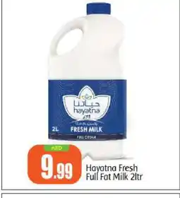 Bigmart HAYATNA Fresh Milk offer