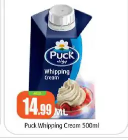 Bigmart PUCK Whipping / Cooking Cream offer