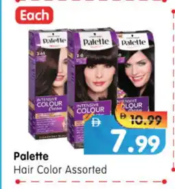 Al Madina Hypermarket PALETTE Hair Cream offer