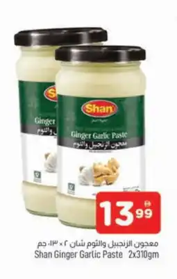 Al Madina SHAN Garlic Paste offer