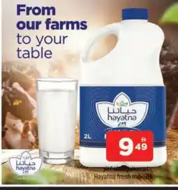 Al Madina HAYATNA Fresh Milk offer