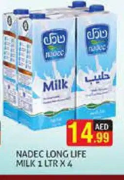 Palm Centre NADEC Long Life / UHT Milk offer