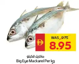 Spar Big eye mackarel offer