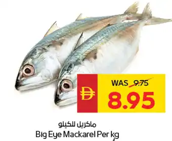 Spar Big eye mackarel offer