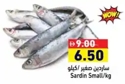 Aswaq Ramez Sardin Small offer