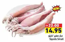 Aswaq Ramez Squids Small offer