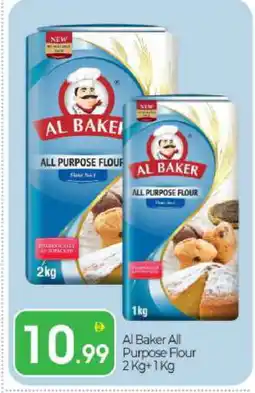 Bigmart AL BAKER All Purpose Flour offer