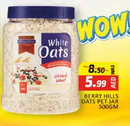 Al Madina BERRY HILLS Oats offer