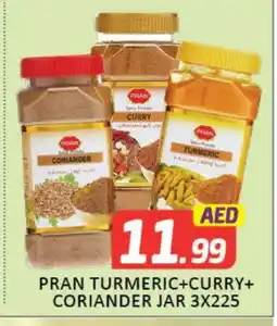 Mango Hypermarket LLC PRAN Spices / Masala offer