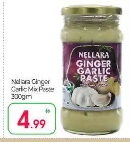 Bigmart NELLARA Garlic Paste offer