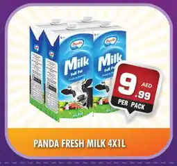 Night to Night Hypermarket PANDA Fresh Milk offer