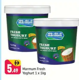 Shaklan MARMUM Yoghurt offer