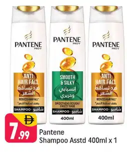Shaklan PANTENE Shampoo / Conditioner offer