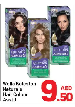 Day To Day KOLLESTON Shampoo / Conditioner offer