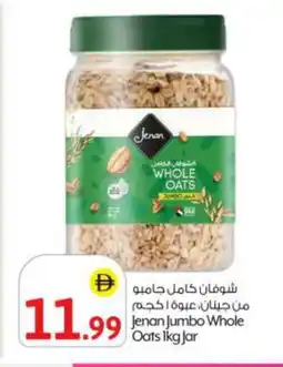 Bigmart JENAN Oats offer