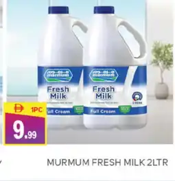 Talal Market MARMUM Fresh Milk offer