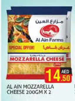Palm Centre AL AIN Mozzarella offer