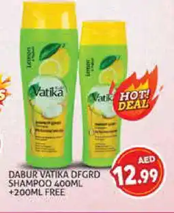 Palm Centre VATIKA Shampoo / Conditioner offer