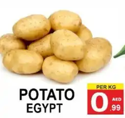Friday Center Potato Egypt offer
