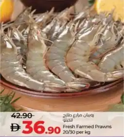 Lulu Hypermarket Fresh Farmed Prawns 20/30 offer