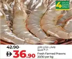 Lulu Hypermarket Fresh Farmed Prawns 20/30 offer