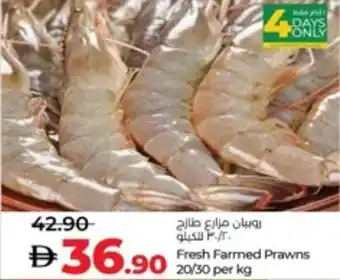 Lulu Hypermarket Fresh Farmed Prawns 20/30 offer