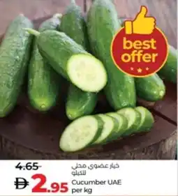 Lulu Hypermarket Cucumber UAE offer