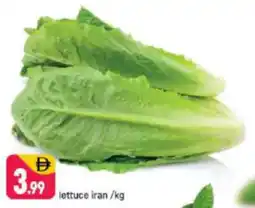 Shaklan Lettuce Iran offer