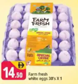 Shaklan Farm fresh white eggs offer